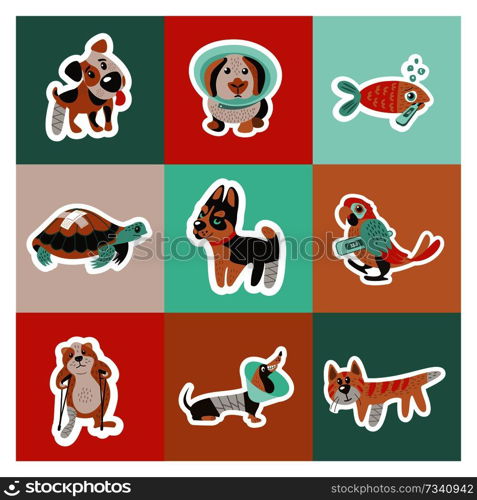 Veterinary care. Care of animals.  A set of cute sick animals.. Veterinary care. Vector illustration, set of cute sick animals.