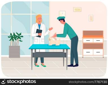 Veterinary care, pet in hospital. Veterinarian doctors treat rabbit ears in medical office. Person owner brought hare for treatment to doctor. Visit to vet clinic to check health, domestic animal care. Veterinary care, pet in hospital. Veterinarian doctors treat rabbit ears in medical office