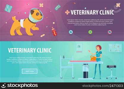 Veterinary clinic horizontal banners with sick puppy animal food pills and doctor treating cat at hospital vector illustration. Veterinary Clinic Horizontal Banners