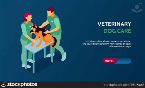 Veterinary clinic isometric horizontal banner with two vets examining dog 3d vector illustration