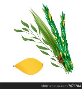 Vetor illustration of four species - palm, willow, myrtle , lemon - symbols of Jewish holiday Sukkot. Holiday of Sukkot illustration.