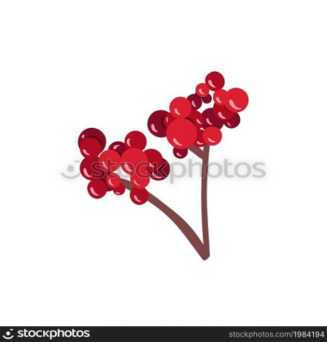 Viburnum fruit branch isolated sketch with red berry. Healthful viburnum fruit bunch icon for natural vitamin and herbal medicine ingredient design.. Viburnum fruit branch isolated sketch with red berry. Healthful viburnum fruit bunch icon for natural vitamin and herbal medicine ingredient design
