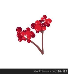 Viburnum fruit branch isolated sketch with red berry. Healthful viburnum fruit bunch icon for natural vitamin and herbal medicine ingredient design.. Viburnum fruit branch isolated sketch with red berry. Healthful viburnum fruit bunch icon for natural vitamin and herbal medicine ingredient design