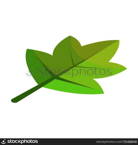 Viburnum green tree leaf icon. Isometric of viburnum green tree leaf vector icon for web design isolated on white background. Viburnum green tree leaf icon, isometric style