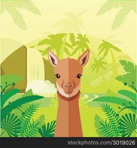 Vicuna on the Jungle Background. Flat Vector image of the Vicuna on the Jungle Background
