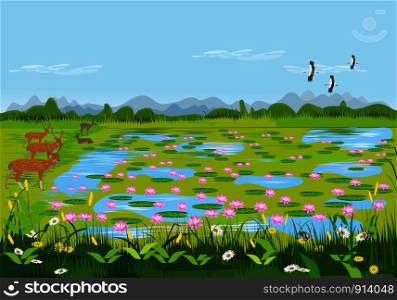 View of the lotus pond with deer and flowers. There are forests and mountains as background.