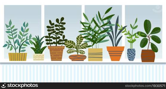 View of the window with indoor plants. Vector illustration.