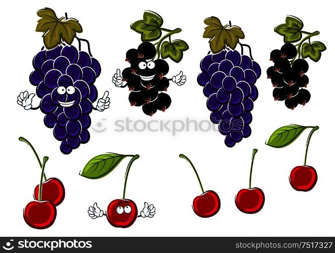 Vine of delicious violet grapes, ripe sweet cherries and healthful black currants fruits cartoon characters with green leaves and funny faces. Use as fruit dessert recipe or juice packaging design. Cartoon grapes, cherries, black currants fruits