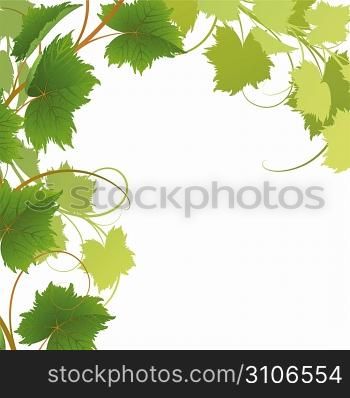 Vine on a white background Clipping Mask