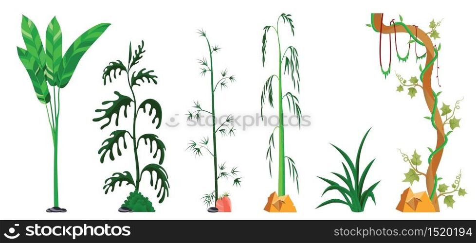 vine, tree, plants sets isolated on white background. Vector illustration