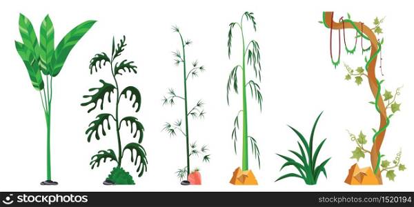vine, tree, plants sets isolated on white background. Vector illustration