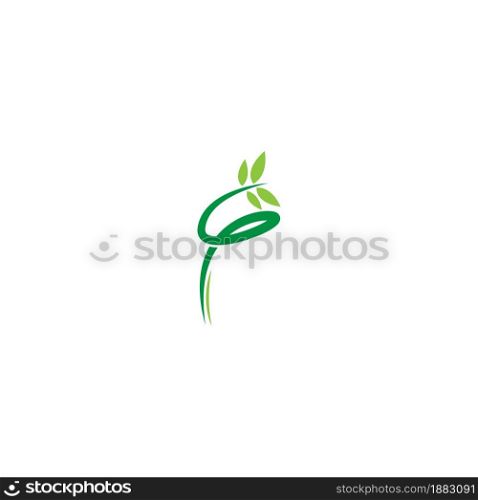 Vines template design, shrubs forming letter F illustration