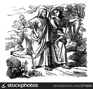 Vintage antique illustration and line drawing or engraving of biblical Ruth and Boaz. Man and woman are walking together. From Biblische Geschichte des alten und neuen Testaments, Germany 1859.Book of Ruth.. Vintage Drawing of Biblical Story of Ruth and Boaz. Man and Woman Are Walking Together