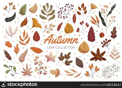 Vintage autumn forest leaf collection. Flat hand drawn vector illustration set of foliage. Acorn, rowan berry and viburnum, rosehip branches.. Vintage autumn forest leaf collection. Flat hand drawn vector illustration set of foliage. Acorn, rowan berry and viburnum, rosehip branches