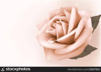Vintage background with beautiful pink rose. Vector illustration.
