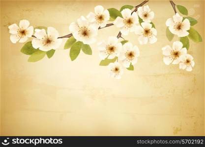 Vintage background with blossoming tree brunch and white flowers. Vector.