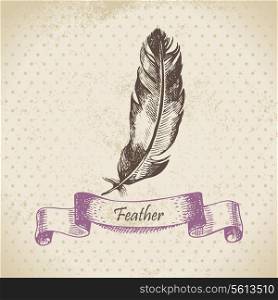Vintage background with feather. Hand drawn illustration