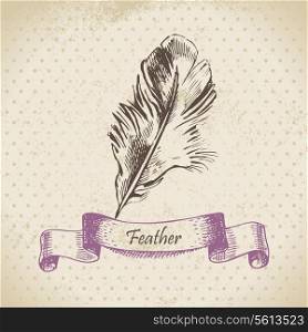 Vintage background with feather. Hand drawn illustration
