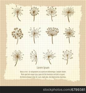 Vintage botanical poster with dandelion. Vintage botanical poster with dandelion and seeds. Vector illustration