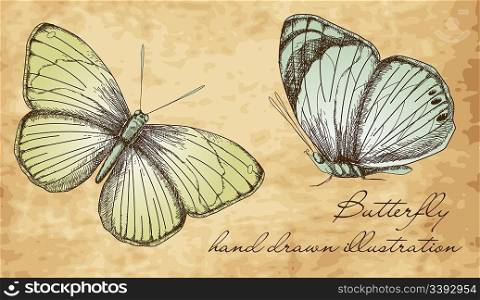 Vintage Butterfly Set