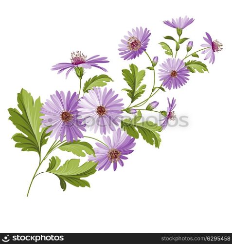 Vintage design with chrysanthemum flower head isolated over white. Vector illustration.