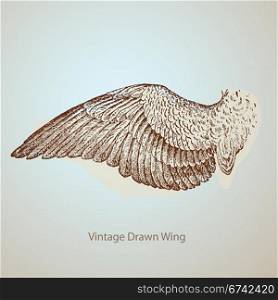vintage drawn wing