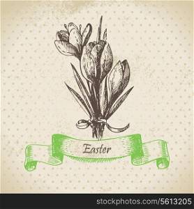 Vintage Easter background with crocus flowers. Hand drawn illustration