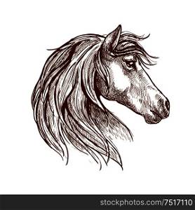 Vintage engraving sketch of wild mare head with silky mane blowing in the wind. Use as nature mascot, equestrian club or horse show design. Wild brown horse head sketch