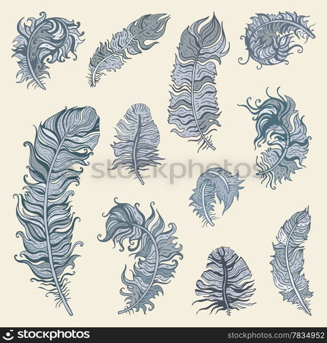 Vintage Feather vector set. Hand drawn illustration.