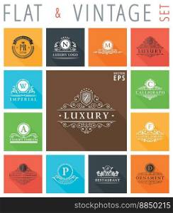 Vintage flat elements icons collection vector image