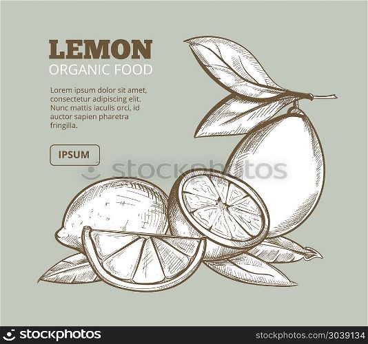 Vintage floral background with hand drawn lemons. Vintage floral background with hand drawn lemon organic and natural food. Vector illustration