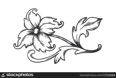 Vintage floral border. Baroque decorative ornament. Engraved flower with leaves. Isolated refined blooming branch. Monochrome detailed vignette or calligraphic divider. Vector contour illustration. Vintage floral border. Baroque decorative ornament. Engraved flower with leaves. Isolated blooming branch. Monochrome detailed vignette or calligraphic divider, vector illustration