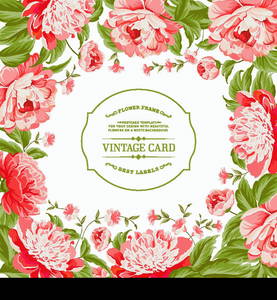 Vintage floral card for your invitation, template. Vector illustration.