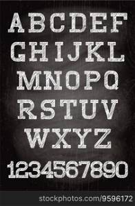 Vintage font written chalk on the wooden board vector image