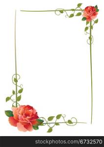vintage frame with roses and creeping plant