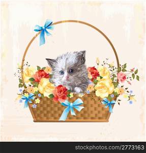 vintage greeting card with fluffy kitten