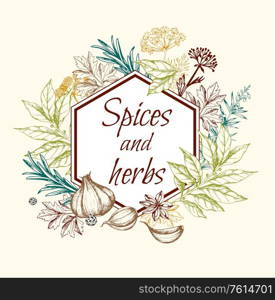 Vintage hand drawn floral background with spices and herbs. Vector illustration