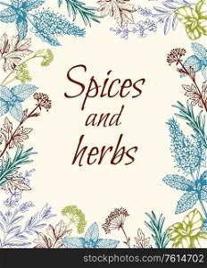 Vintage hand drawn floral background with spices and herbs. Vector illustration