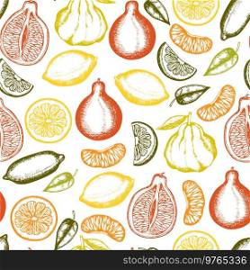 Vintage hand drawn seamless pattern with citrus fruit. Vector background. 