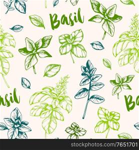 Vintage hand drawn seamless pattern with green basil herb