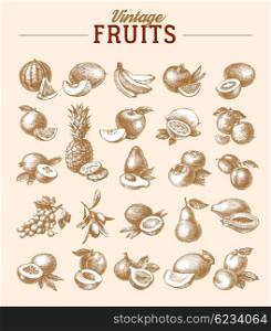 Vintage hand drawn sketch fruits set. Eco foods.Vector illustration