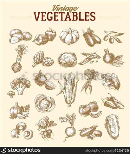 Vintage hand drawn sketch vegetable set. Eco foods.Vector illustration