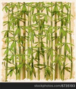 vintage illustration of the bamboo forest