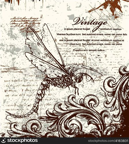 vintage ilustration with dragonfly