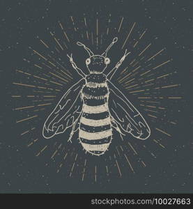 Vintage label, Hand drawn bee, grunge textured badge, retro logo template, typography design vector illustration.. Vintage label, Hand drawn bee, grunge textured badge, retro logo template, typography design vector illustration