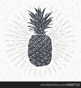 Vintage label, Hand drawn pineapple, grunge textured retro badge template, typography design vector illustration.. Vintage label, Hand drawn pineapple, grunge textured retro badge template, typography design vector illustration