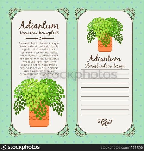 Vintage label template with decorative adiantum plant in pot, vector illustration. Vintage label with adiantum plant