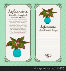 Vintage label template with decorative aglaonema plant in pot, vector illustration. Vintage label with aglaonema plant