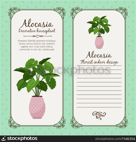 Vintage label template with decorative alocasia plant in pot, vector illustration. Vintage label with alocasia plant