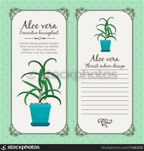 Vintage label template with decorative aloe vera plant in pot, vector illustration. Vintage label with aloe vera plant